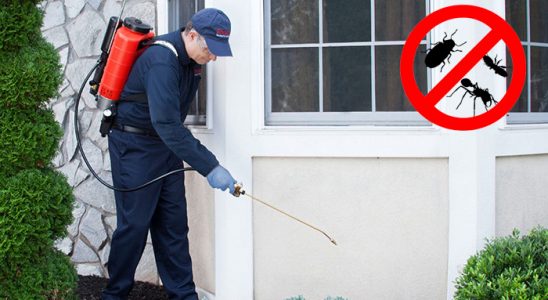 Çan Böcek ve Haşere İlaçlama böcek ilaçlama ve haşere kontrolü — ilaclama-tr.com
